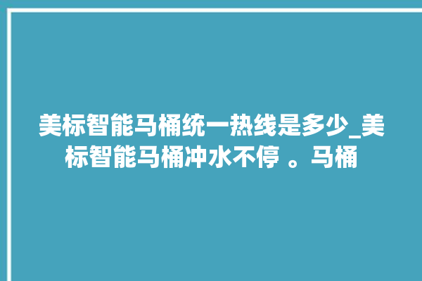 美标智能马桶统一热线是多少_美标智能马桶冲水不停 。马桶