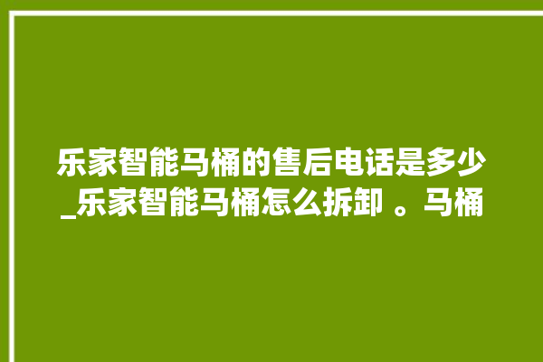 乐家智能马桶的售后电话是多少_乐家智能马桶怎么拆卸 。马桶