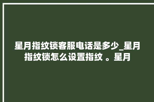 星月指纹锁客服电话是多少_星月指纹锁怎么设置指纹 。星月