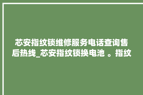 芯安指纹锁维修服务电话查询售后热线_芯安指纹锁换电池 。指纹锁