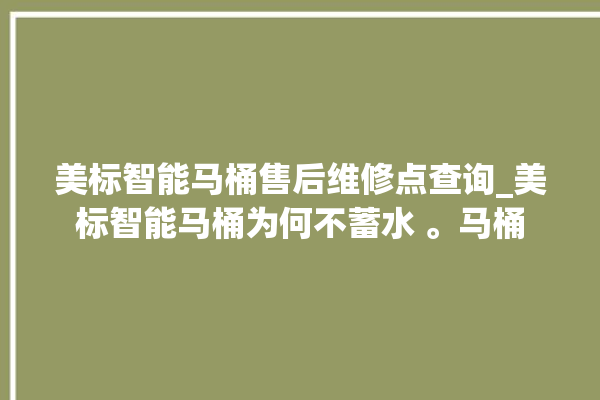 美标智能马桶售后维修点查询_美标智能马桶为何不蓄水 。马桶