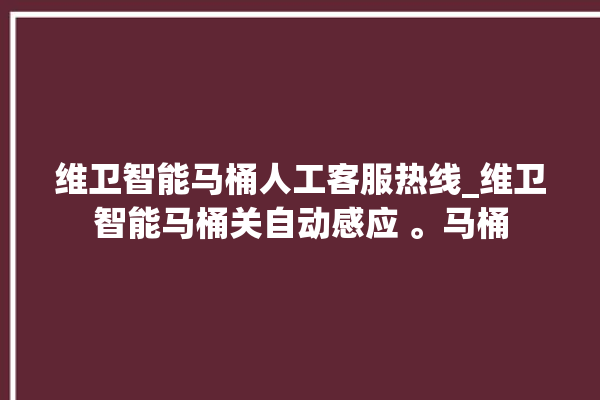 维卫智能马桶人工客服热线_维卫智能马桶关自动感应 。马桶