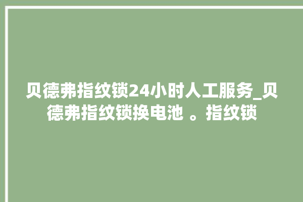 贝德弗指纹锁24小时人工服务_贝德弗指纹锁换电池 。指纹锁