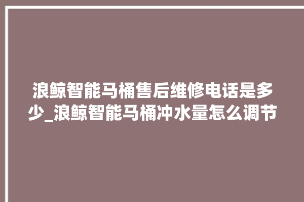 浪鲸智能马桶售后维修电话是多少_浪鲸智能马桶冲水量怎么调节 。马桶