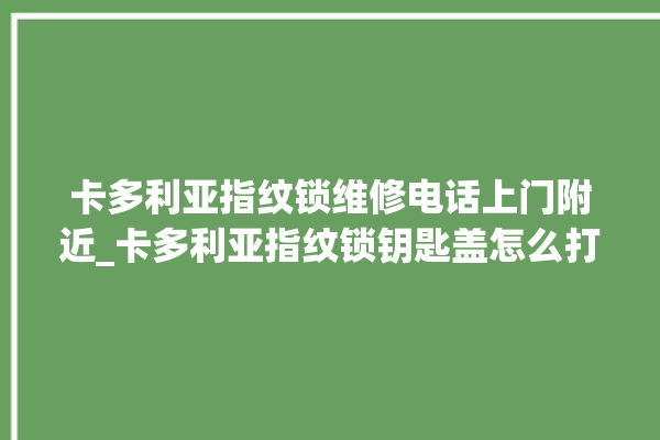 卡多利亚指纹锁维修电话上门附近_卡多利亚指纹锁钥匙盖怎么打开 。多利亚