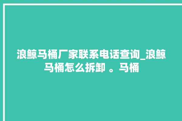 浪鲸马桶厂家联系电话查询_浪鲸马桶怎么拆卸 。马桶