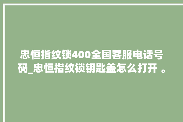 忠恒指纹锁400全国客服电话号码_忠恒指纹锁钥匙盖怎么打开 。锁钥