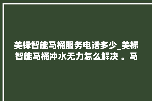 美标智能马桶服务电话多少_美标智能马桶冲水无力怎么解决 。马桶