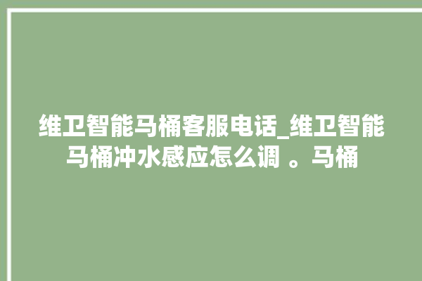 维卫智能马桶客服电话_维卫智能马桶冲水感应怎么调 。马桶