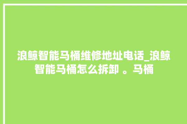 浪鲸智能马桶维修地址电话_浪鲸智能马桶怎么拆卸 。马桶