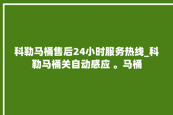 科勒马桶售后24小时服务热线_科勒马桶关自动感应 。马桶