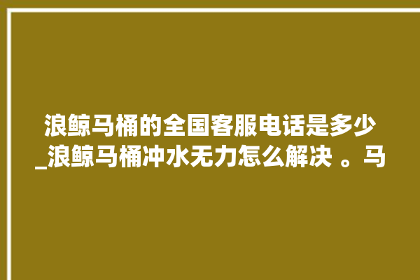 浪鲸马桶的全国客服电话是多少_浪鲸马桶冲水无力怎么解决 。马桶