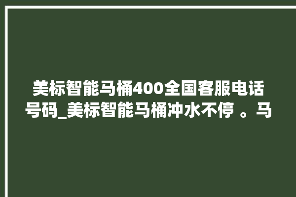 美标智能马桶400全国客服电话号码_美标智能马桶冲水不停 。马桶