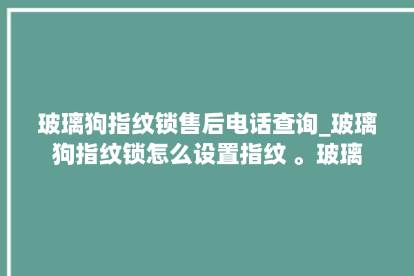 玻璃狗指纹锁售后电话查询_玻璃狗指纹锁怎么设置指纹 。玻璃