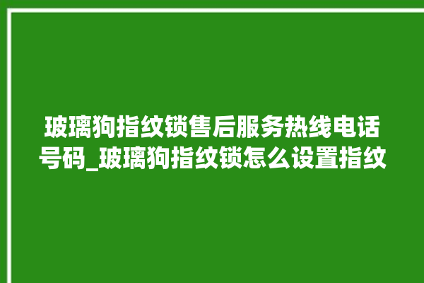 玻璃狗指纹锁售后服务热线电话号码_玻璃狗指纹锁怎么设置指纹 。玻璃