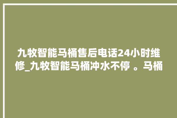 九牧智能马桶售后电话24小时维修_九牧智能马桶冲水不停 。马桶