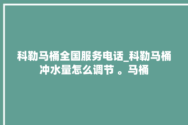 科勒马桶全国服务电话_科勒马桶冲水量怎么调节 。马桶