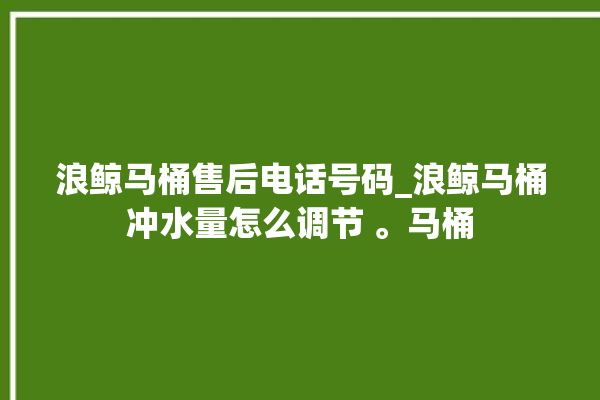 浪鲸马桶售后电话号码_浪鲸马桶冲水量怎么调节 。马桶