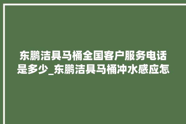 东鹏洁具马桶全国客户服务电话是多少_东鹏洁具马桶冲水感应怎么调 。马桶