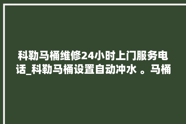 科勒马桶维修24小时上门服务电话_科勒马桶设置自动冲水 。马桶