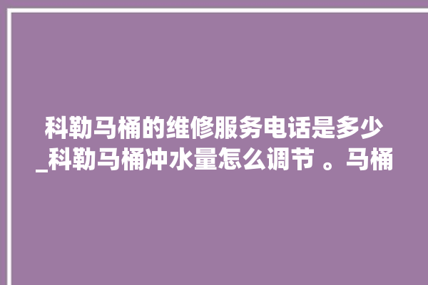 科勒马桶的维修服务电话是多少_科勒马桶冲水量怎么调节 。马桶