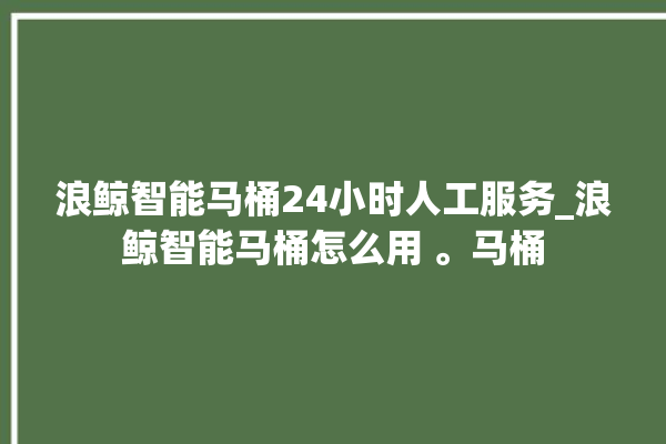 浪鲸智能马桶24小时人工服务_浪鲸智能马桶怎么用 。马桶