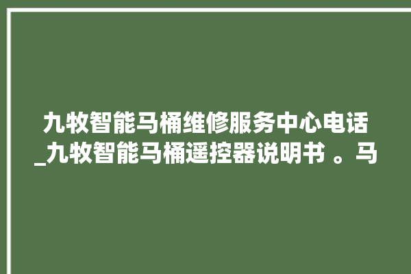 九牧智能马桶维修服务中心电话_九牧智能马桶遥控器说明书 。马桶