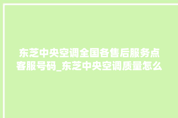 东芝中央空调全国各售后服务点客服号码_东芝中央空调质量怎么样排名第几 。东芝