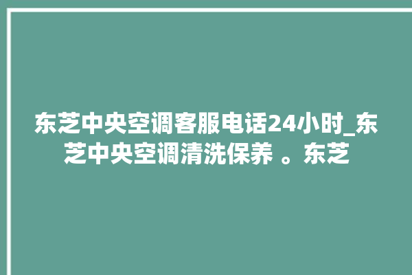 东芝中央空调客服电话24小时_东芝中央空调清洗保养 。东芝