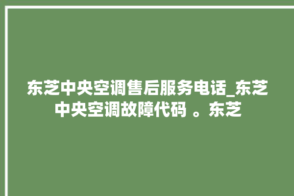 东芝中央空调售后服务电话_东芝中央空调故障代码 。东芝