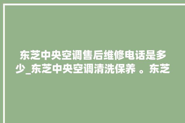 东芝中央空调售后维修电话是多少_东芝中央空调清洗保养 。东芝