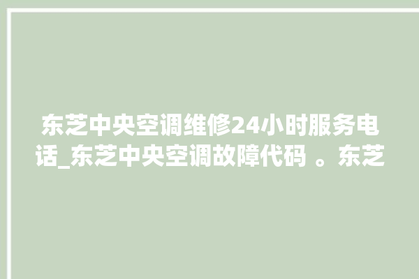 东芝中央空调维修24小时服务电话_东芝中央空调故障代码 。东芝