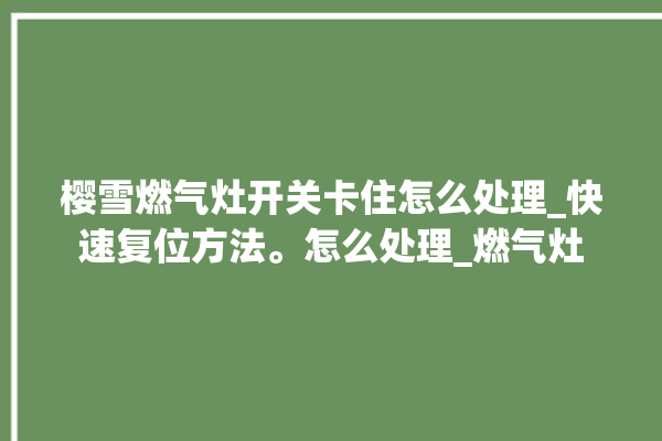 樱雪燃气灶开关卡住怎么处理_快速复位方法。怎么处理_燃气灶