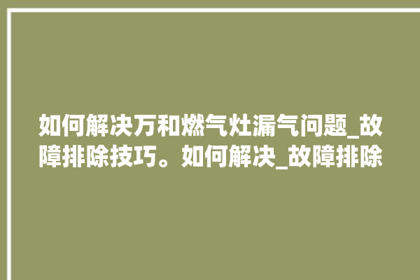 如何解决万和燃气灶漏气问题_故障排除技巧。如何解决_故障排除