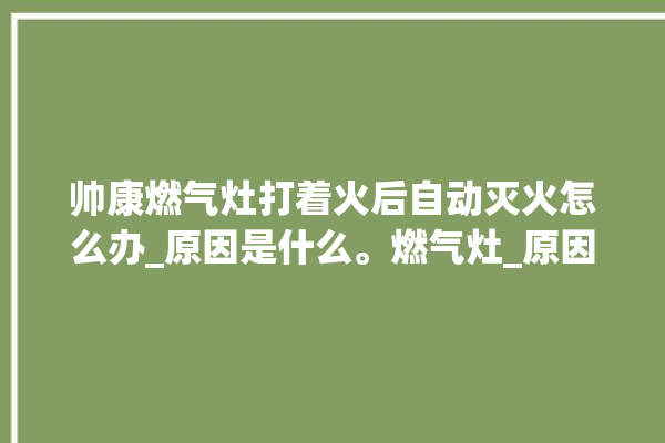 帅康燃气灶打着火后自动灭火怎么办_原因是什么。燃气灶_原因