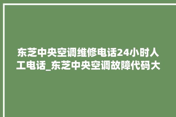 东芝中央空调维修电话24小时人工电话_东芝中央空调故障代码大全对照表 。东芝