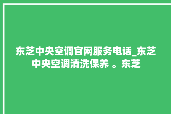 东芝中央空调官网服务电话_东芝中央空调清洗保养 。东芝