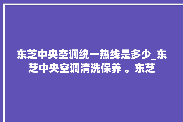 东芝中央空调统一热线是多少_东芝中央空调清洗保养 。东芝