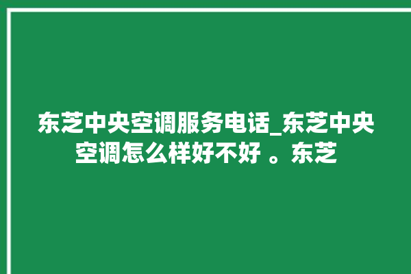 东芝中央空调服务电话_东芝中央空调怎么样好不好 。东芝