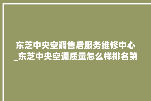 东芝中央空调售后服务维修中心_东芝中央空调质量怎么样排名第几 。东芝