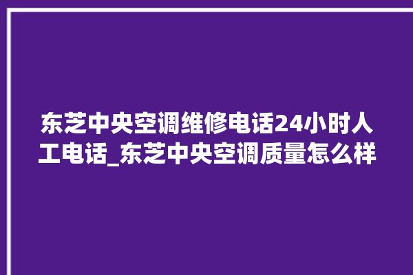 东芝中央空调维修电话24小时人工电话_东芝中央空调质量怎么样排名第几 。东芝