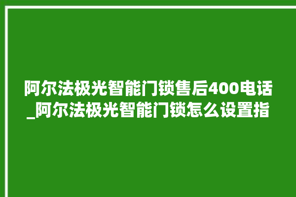 阿尔法极光智能门锁售后400电话_阿尔法极光智能门锁怎么设置指纹 。阿尔法