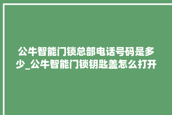 公牛智能门锁总部电话号码是多少_公牛智能门锁钥匙盖怎么打开 。公牛