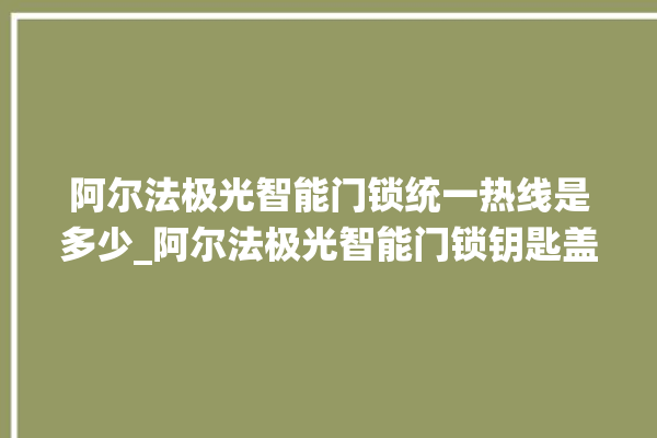 阿尔法极光智能门锁统一热线是多少_阿尔法极光智能门锁钥匙盖怎么打开 。阿尔法