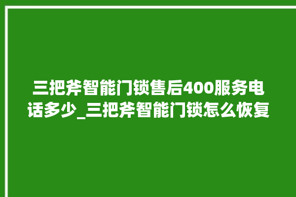 三把斧智能门锁售后400服务电话多少_三把斧智能门锁怎么恢复出厂设置 。门锁