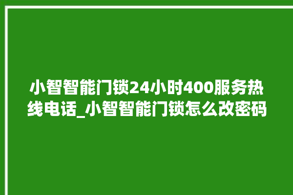 小智智能门锁24小时400服务热线电话_小智智能门锁怎么改密码 。门锁