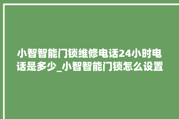 小智智能门锁维修电话24小时电话是多少_小智智能门锁怎么设置指纹 。门锁