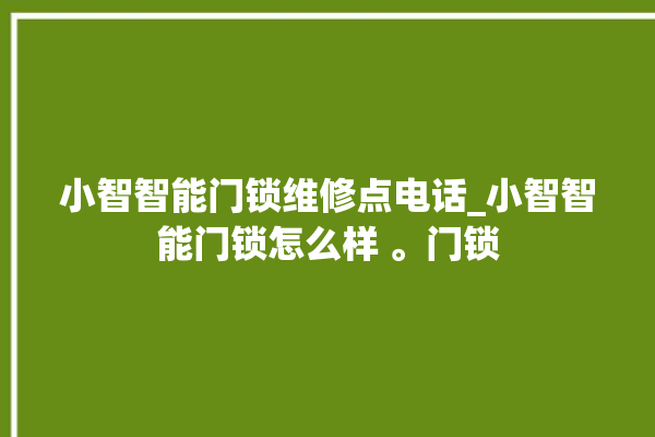 小智智能门锁维修点电话_小智智能门锁怎么样 。门锁