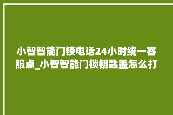 小智智能门锁电话24小时统一客服点_小智智能门锁钥匙盖怎么打开 。门锁