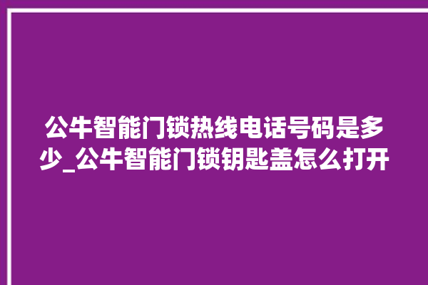 公牛智能门锁热线电话号码是多少_公牛智能门锁钥匙盖怎么打开 。公牛